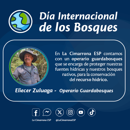 Día Internacional de los Bosques