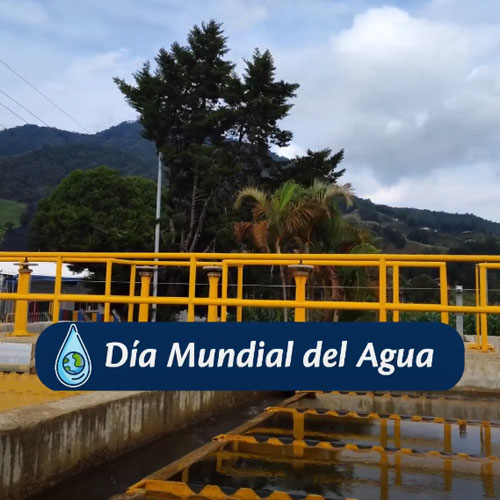 Día Mundial del Agua